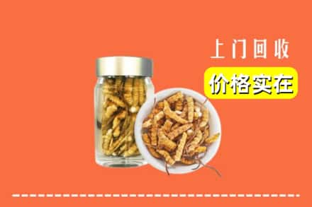 收购资讯:月湖区回收散虫草