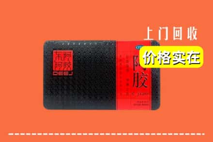 收购资讯:月湖区回收阿胶