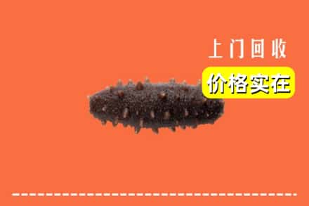 收购资讯:月湖区回收海参