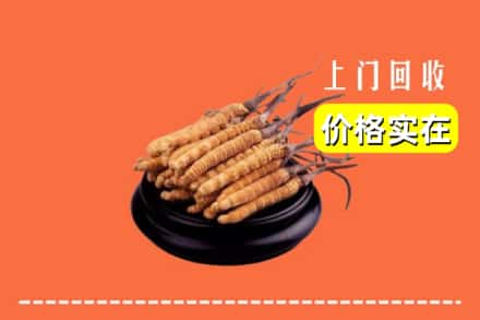 月湖区回收冬虫夏草